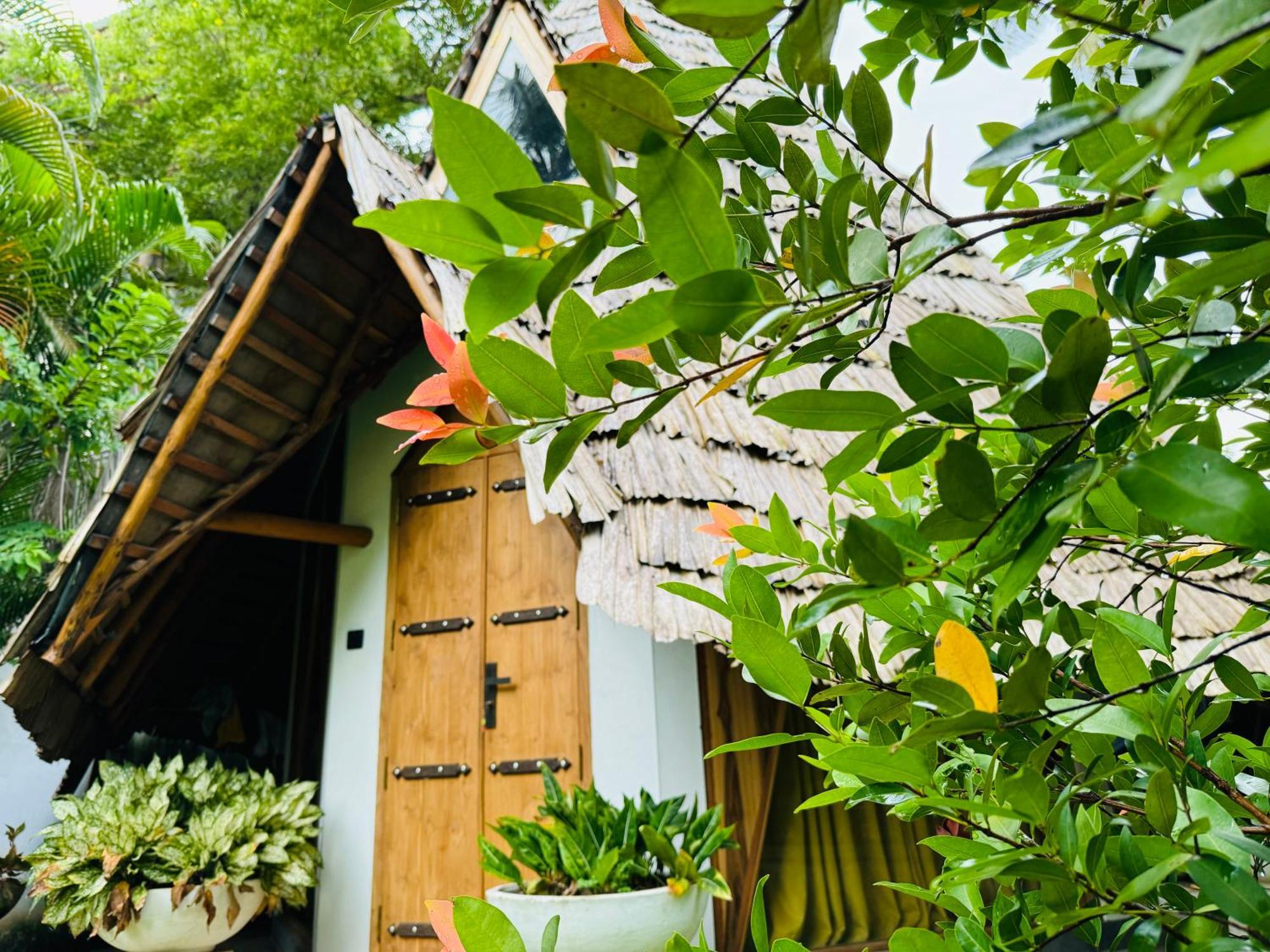 Turtle Wood Cabin Тангалле Екстер'єр фото