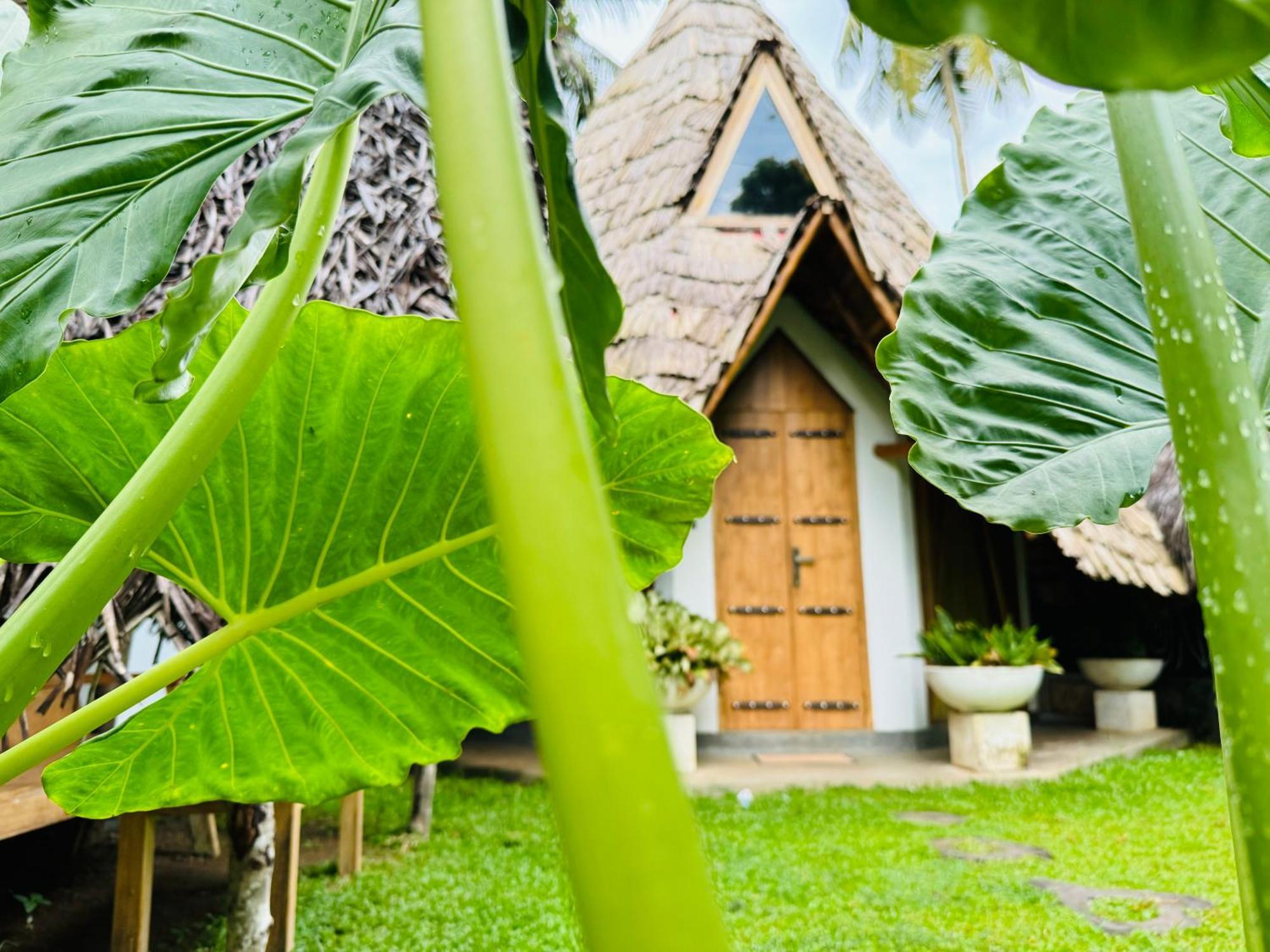 Turtle Wood Cabin Тангалле Екстер'єр фото