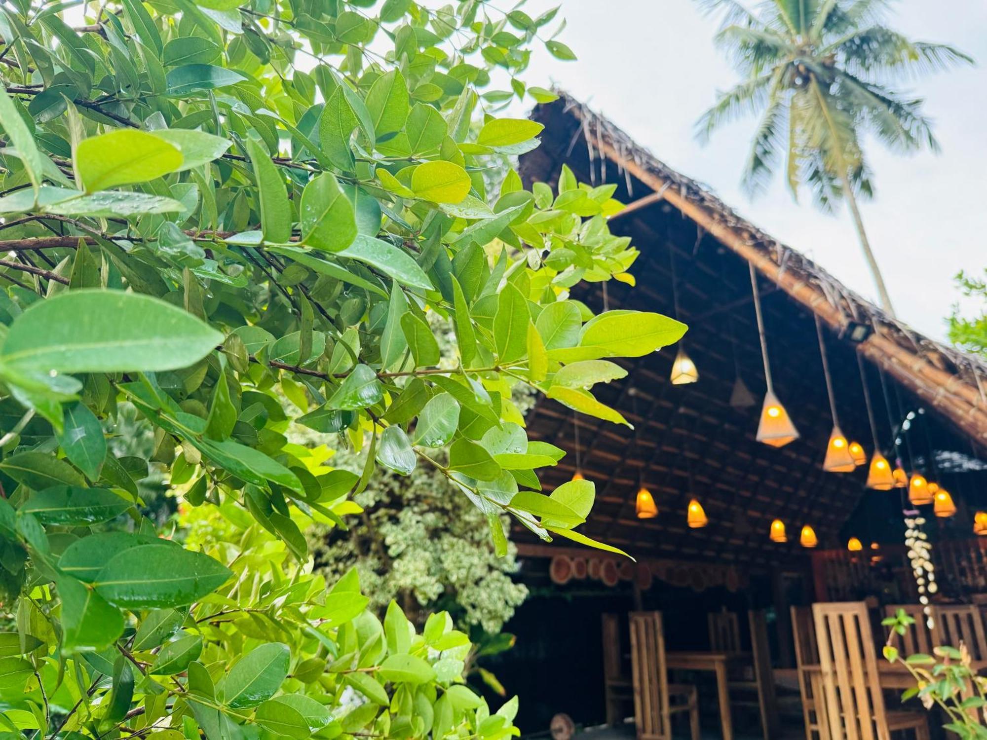 Turtle Wood Cabin Тангалле Екстер'єр фото
